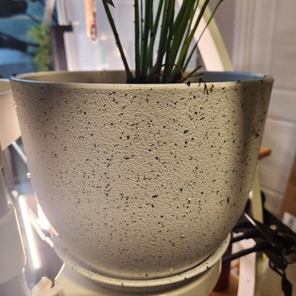 Set of 3 Plant Pots 12/10/9 inch, Flower Pots Outdoor Indoor, Plant pots - Picture 9 of 9